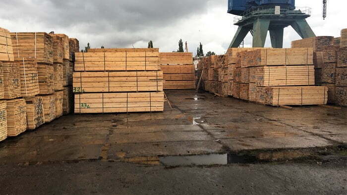 На Херсонщині викрили канал незаконного експорту деревини