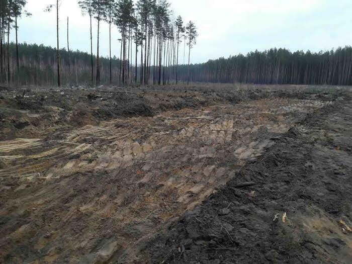 На Житомирщині піщані браконьєри займалися незаконним видобутком копалин