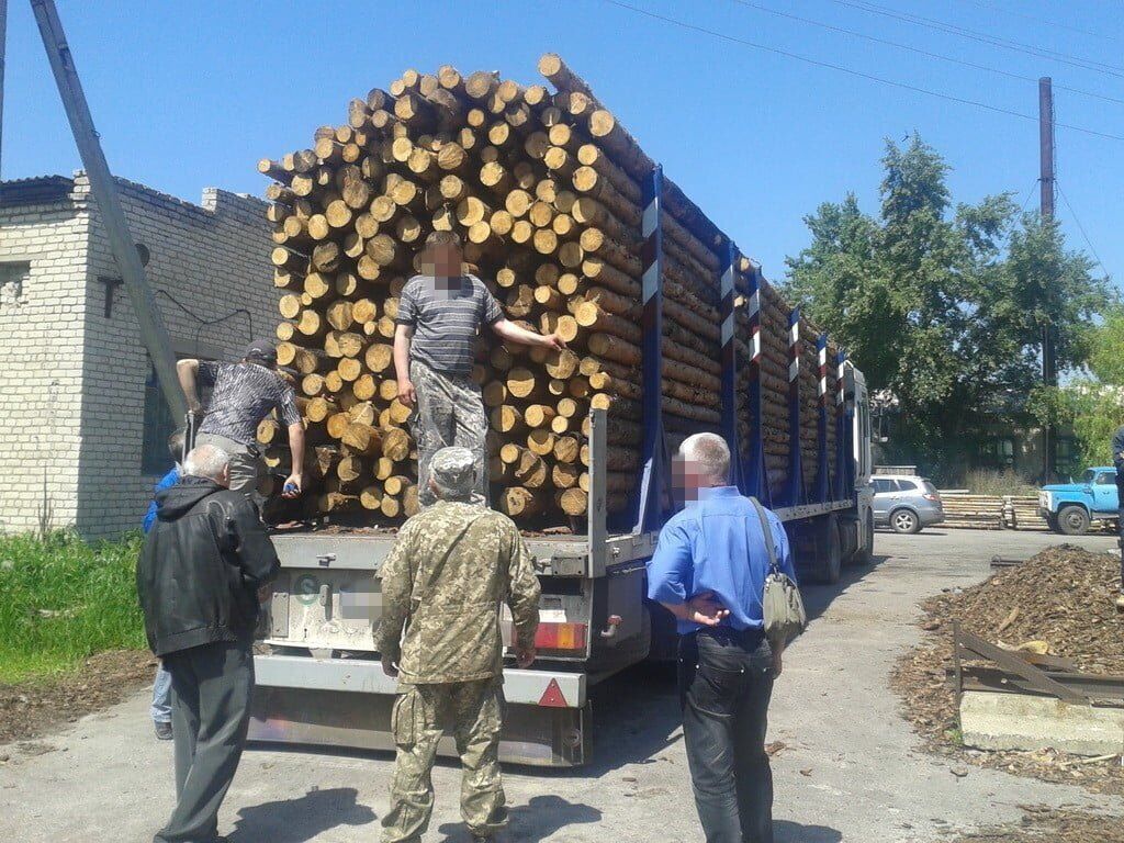На Луганщині викрили схему розкрадання лісу