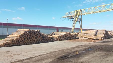 Комерсанти вивезли з України понад п'ятдесят кубічних метрів деревини на суму 60 млн. грн
