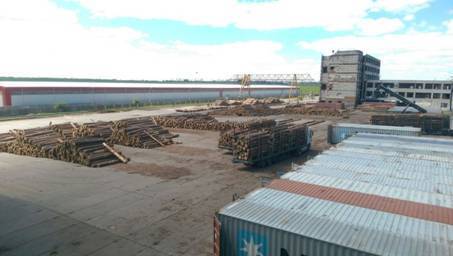 Комерсанти вивезли з України понад п'ятдесят кубічних метрів деревини на суму 60 млн. грн