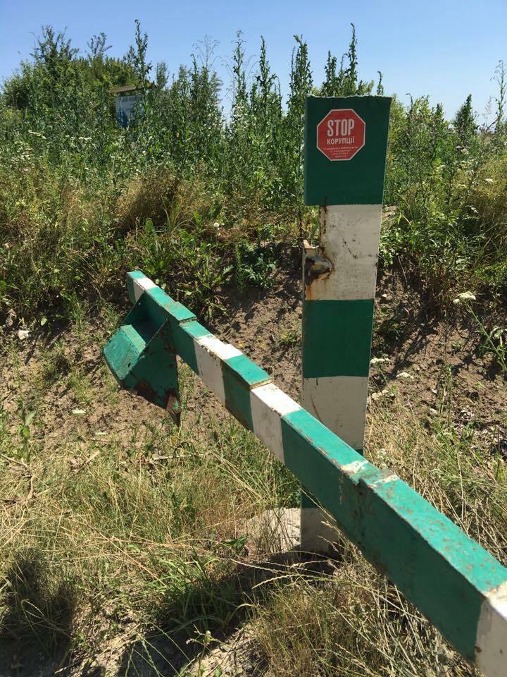 Активісти провели спецоперацію проти контрабанди лісу та цигарок у Чернівецькій області
