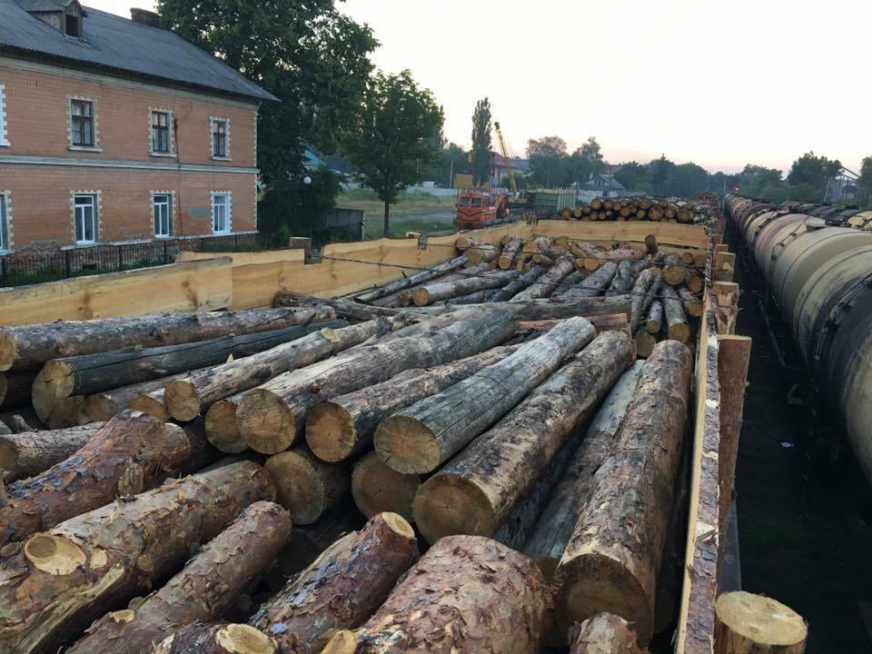 Активісти провели спецоперацію проти контрабанди лісу та цигарок у Чернівецькій області