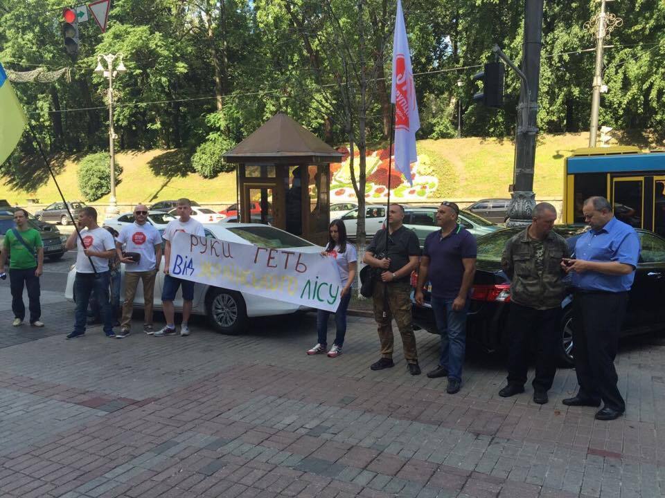 Під будинком уряду активісти провели акцію проти вирубки та контрабанди українського лісу