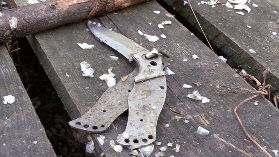 До нелегального видобутку піску на Київщині причетні народні депутати