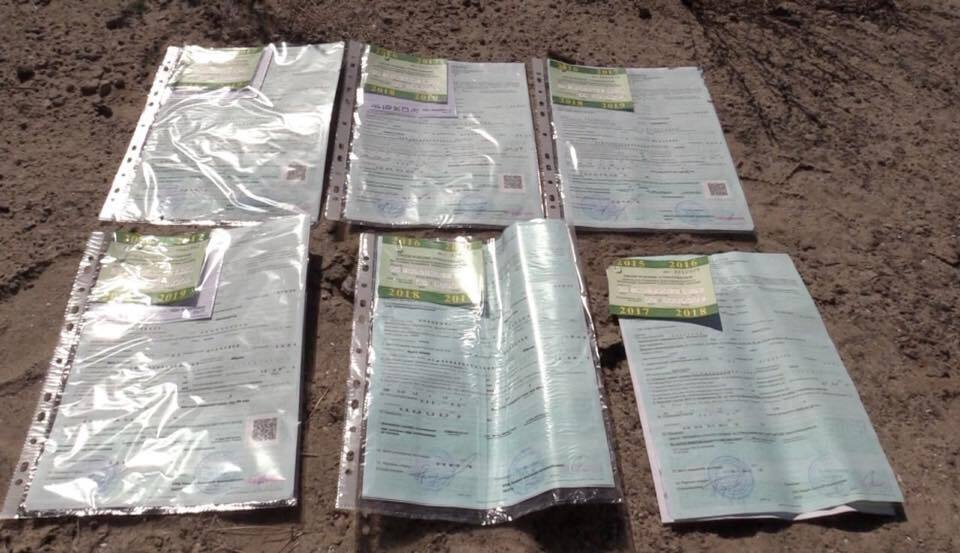 До нелегального видобутку піску на Київщині причетні народні депутати