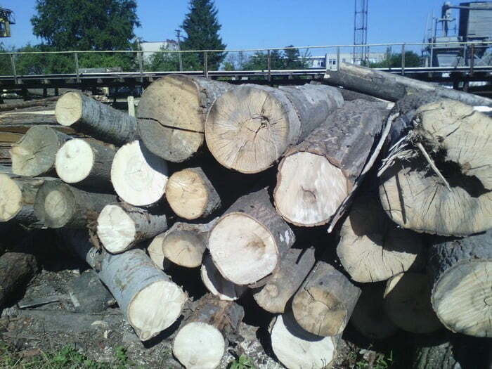 На Волині вилучили необліковану деревину на суму понад 670 тис. грн