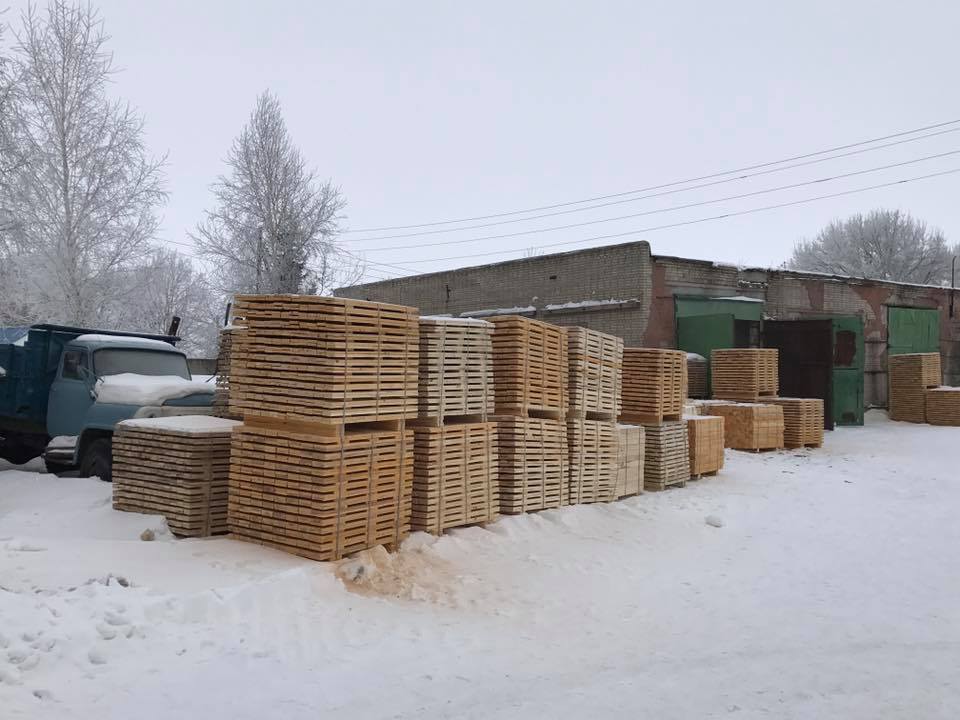 У Путивлі на Сумщині викрили схему масштабної вирубки лісу