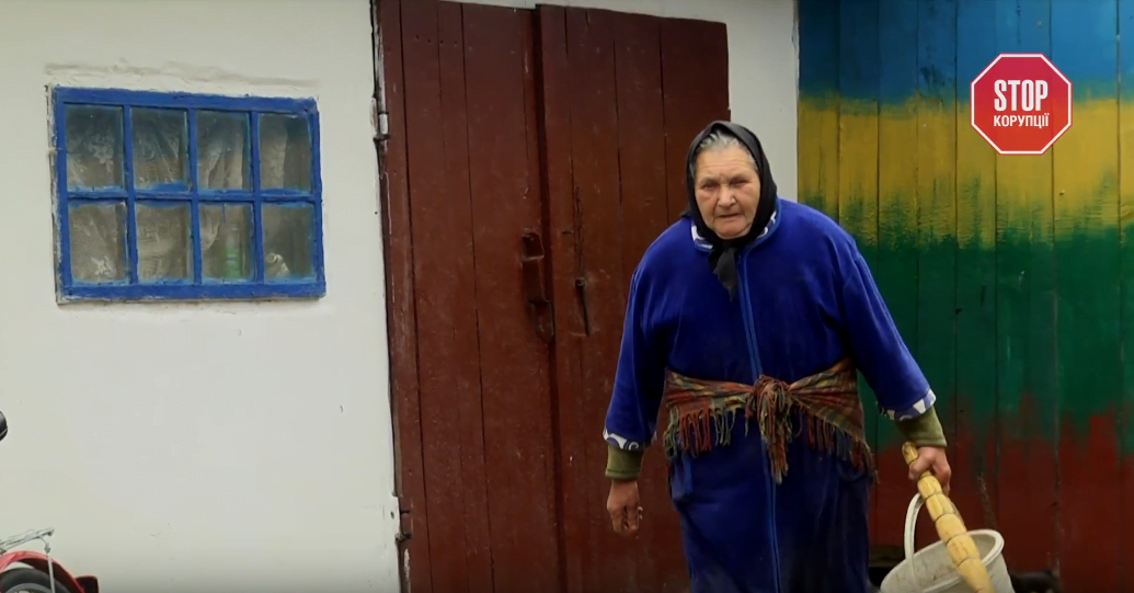 Феодал часів Януковича: звідки у керівника державного інституту НАН багатомільйонні статки