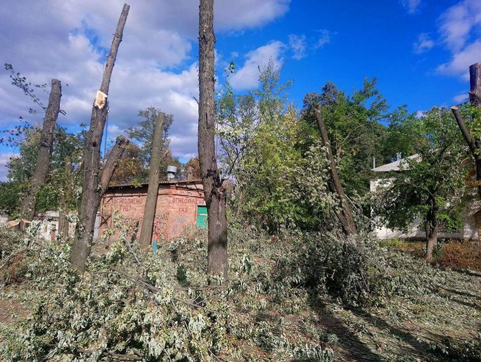 ''СтопКор'' розкрив на Донеччині аферу зі знищення понад сотні дерев у міському парку