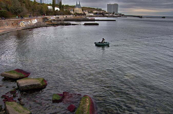 Одеське узбережжя вкрили червоні водорості – екологи б'ють на сполох