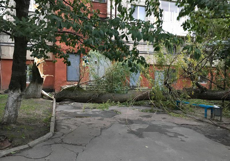 Руйнівний шторм уже в Україні: з'явилися кадри наслідків стихії на Львівщині