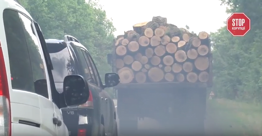 Чиновницький бордель і могильник з відходами тваринництва: журналісти розповіли про знахідки під час рейду на корупціонерів