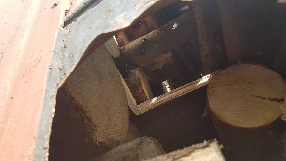 Журналісти зафіксували на кордоні з Румунією ешелони з контрабандою – кадри