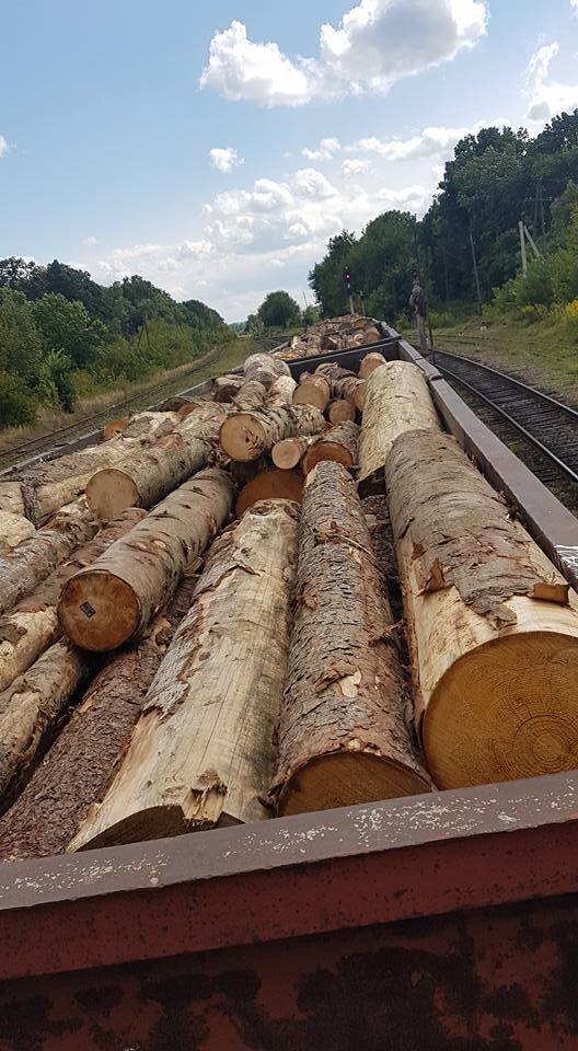 Журналісти зафіксували на кордоні з Румунією ешелони з контрабандою – кадри
