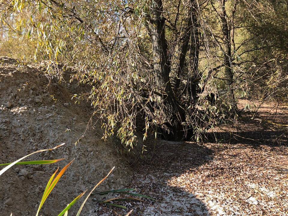 Знову за старе? Піщані браконьєри на Корчуватому у Києві продовжують свої чорні справи