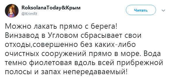 ''Можна хлебтати прямо з берега'', – у Криму винний завод скидає відходи виробництва в море