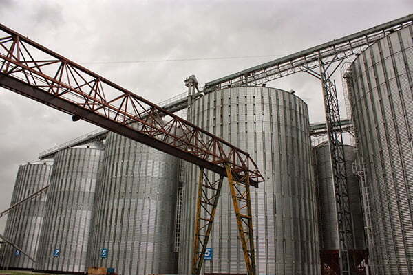 Гіркі жнива: на Чернігівщині під прикриттям правоохоронців цинічно віджимають зібраний врожай