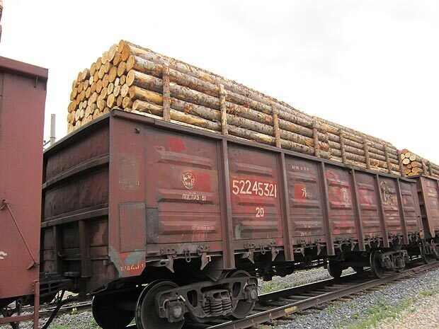 Чому британська компанія представила замовний звіт у ВРУ та кому вигідне банкрутство українських лісгоспів – експерт