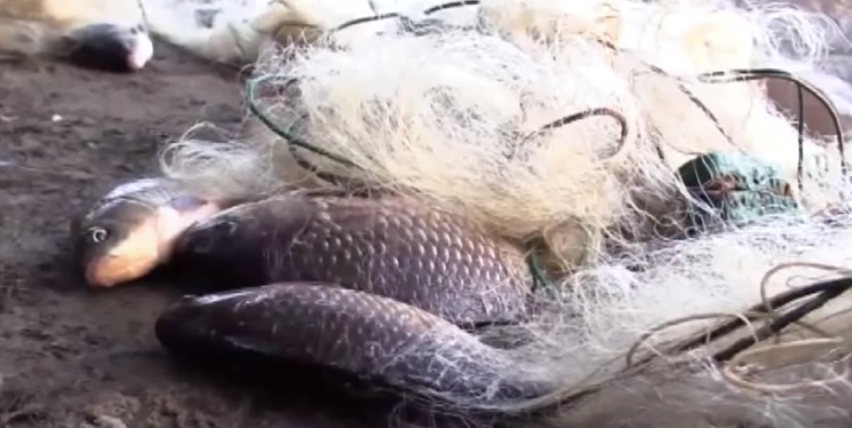  Фото: скріншот