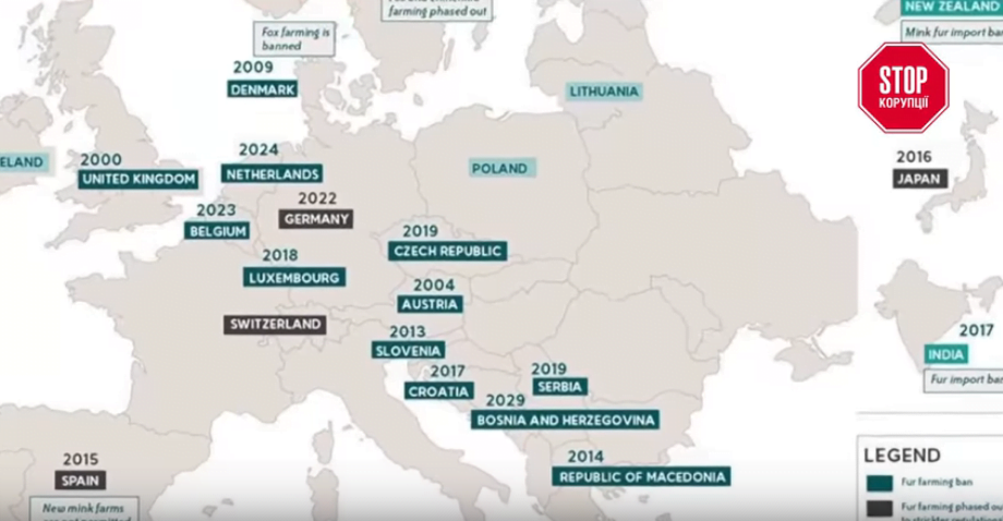 В Європі забороняють, в Україні – розвивають: ''СтопКор'' звернувся до КОДА через небезпечну діяльність норкових ферм під Києвом