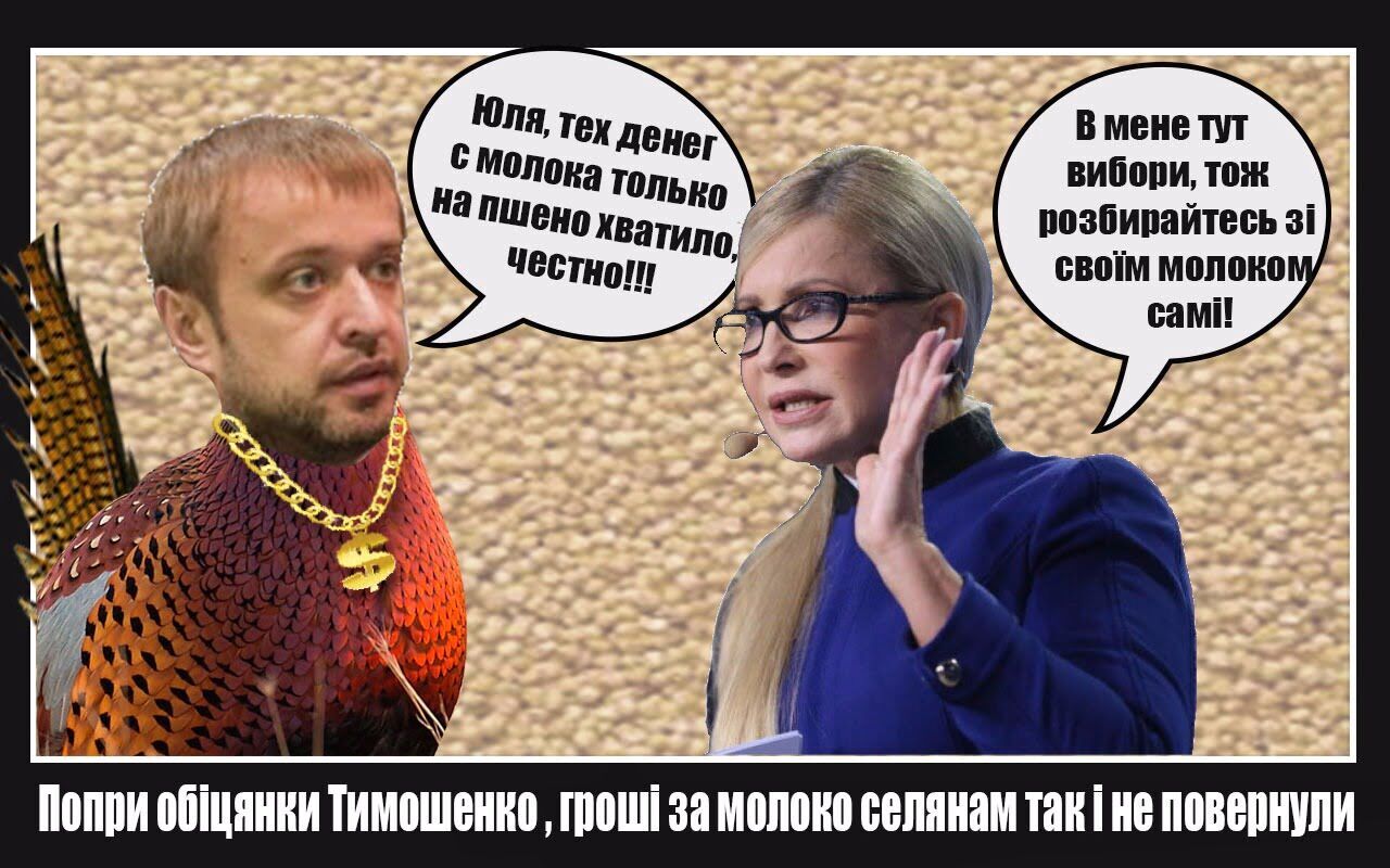 ''Обіцяного три роки чекають'' – Юлія Тимошенко пообіцяла проконтролювати повернення грошей ошуканим селянам, але щось пішло не так