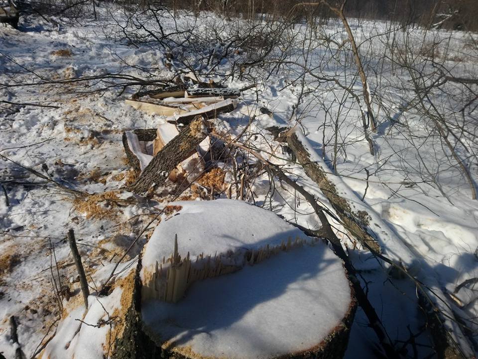 На Донеччині після заяви ''СтопКору'' поліція завела справу на лісових браконьєрів