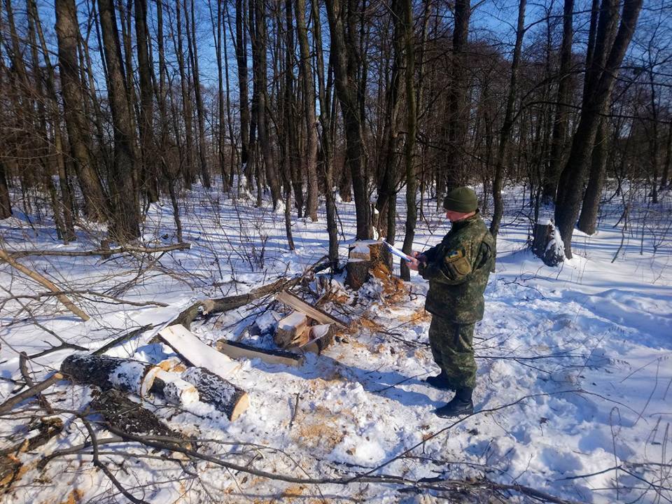 На Донеччині після заяви ''СтопКору'' поліція завела справу на лісових браконьєрів