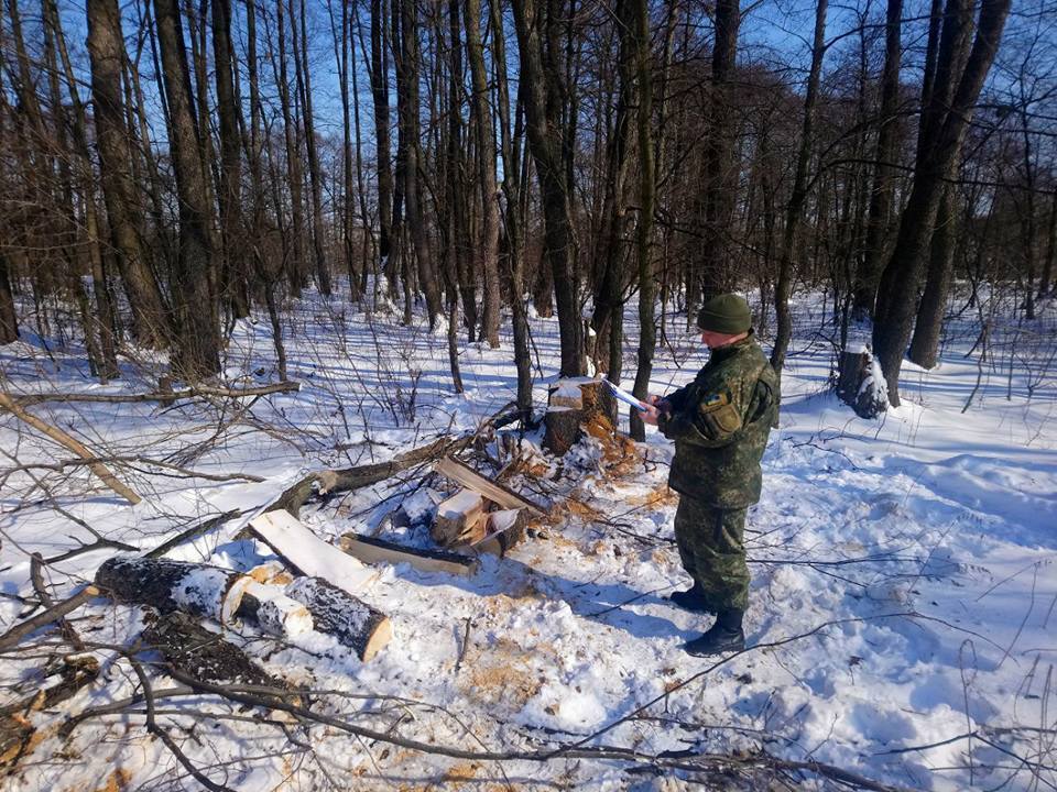 Директора пансіонату на Донеччині, якого ''СтопКор'' викрив на незаконній рубці дерев, оштрафували