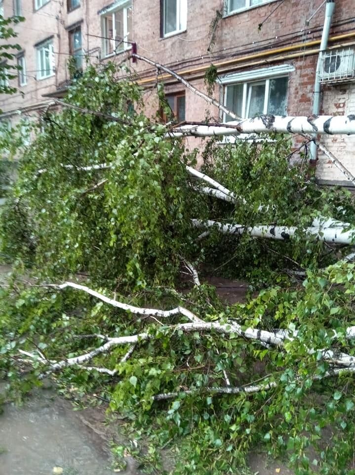 У Вінниці потужна злива затопила вулиці та повалила дерева