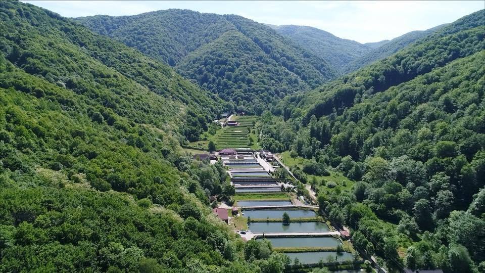 ''СтопКор'' покаже ''скромне'' життя керівника лісгоспу на Закарпатті