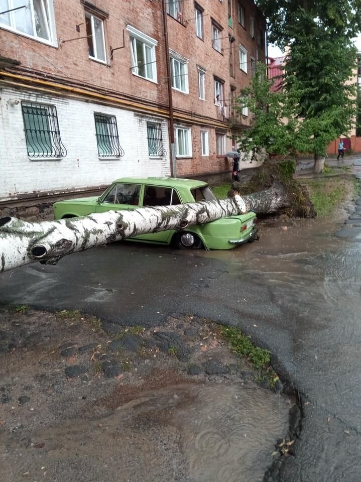 У Вінниці потужна злива затопила вулиці та повалила дерева