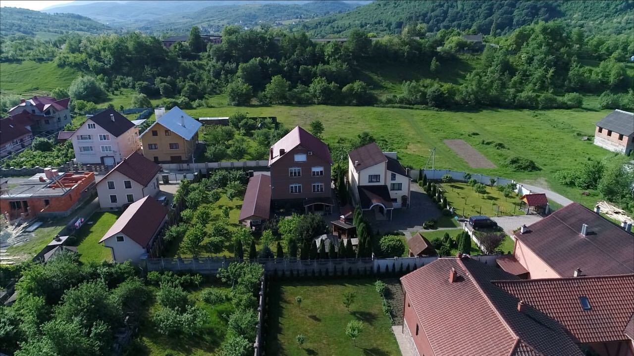 Ліс рубають - керівник не бідує! На чию користь незаконно знищують ліси Закарпаття