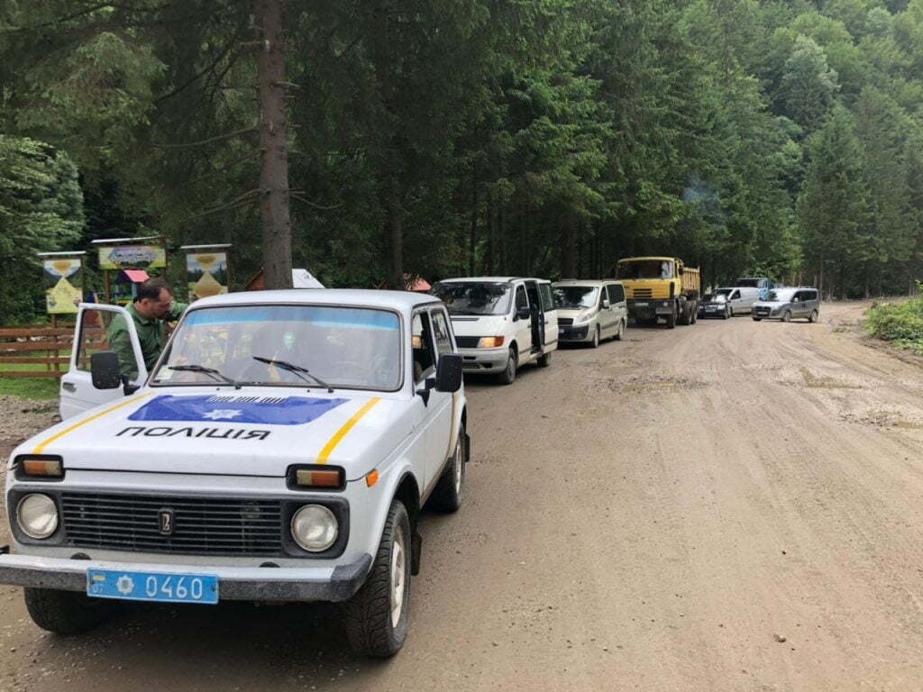 Лісоруби екологам: «Не лізьте у хащі!» - на Закарпатті намагались приховати незаконну вирубку лісу