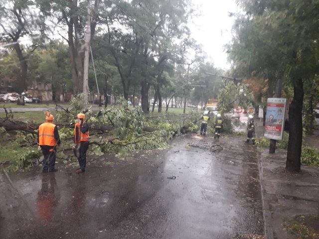 Дніпро заливає водою: в Мережі з'явилися перші кадри наслідків негоди