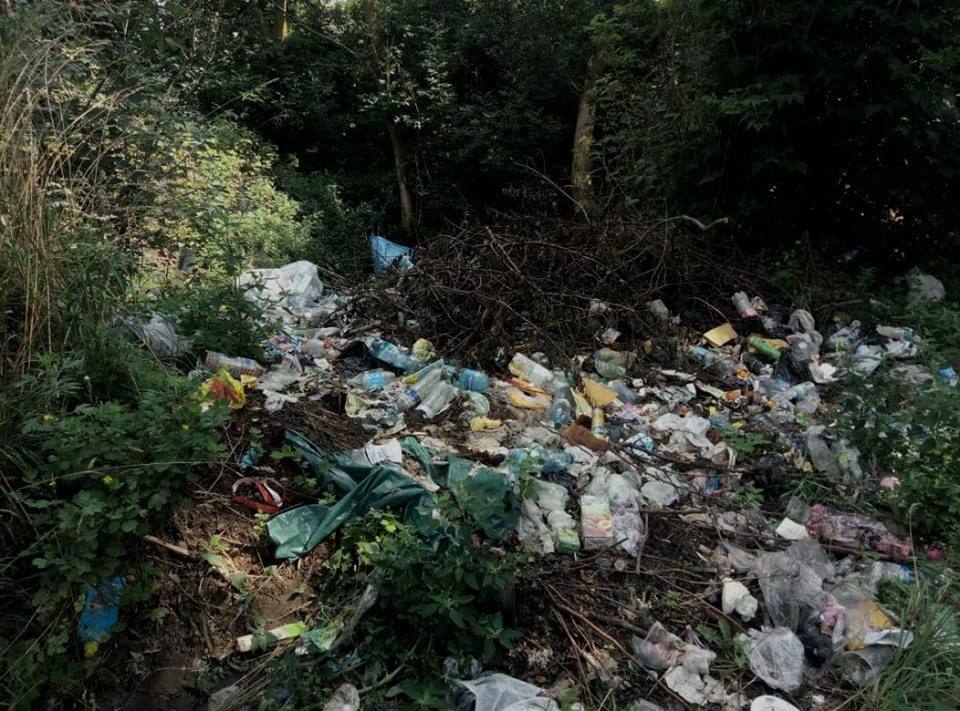 ''СтопКор'' викрив незаконне сміттєзвалище у селі Гаврилівка на Київщині