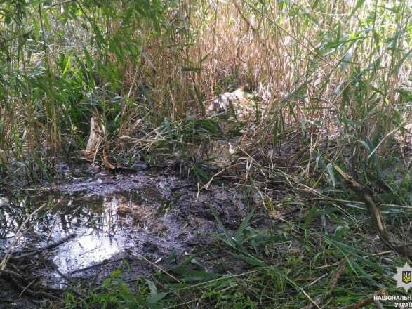 Моторошна знахідка: у Нікополі виявили тіло дитини зі слідами насильницької смерті