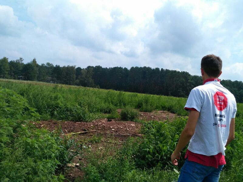 Курячий могильник біля Гаврилівки ліквідовано