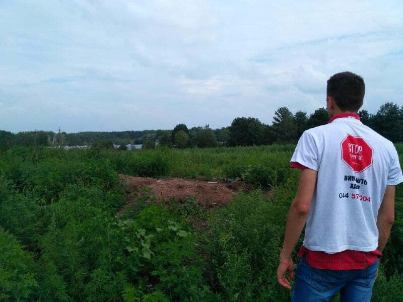 Курячий могильник біля Гаврилівки ліквідовано