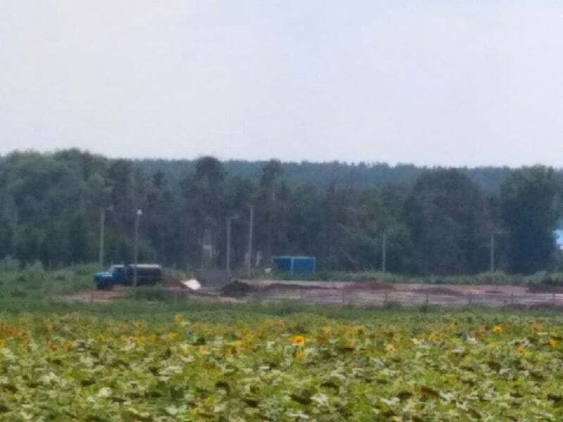 Курячий могильник біля Гаврилівки ліквідовано