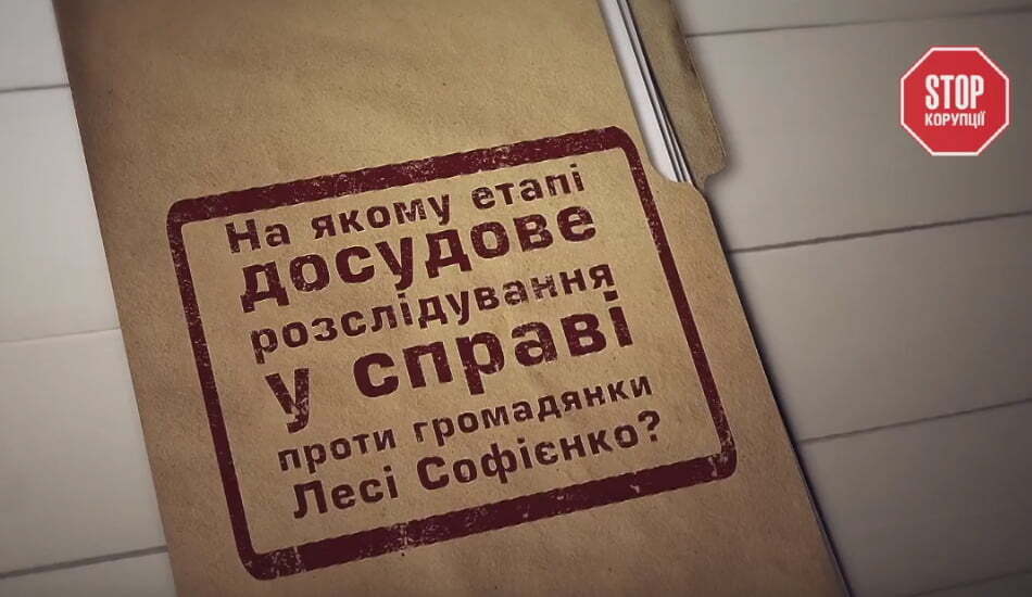 Крихітка на три мільйони доларів: чи притягне ДФС до відповідальності Лесю Софієнко?