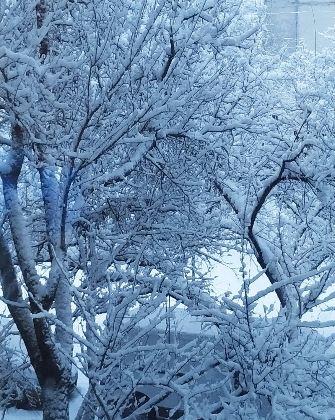 Луганськ і Донецьк завалило снігом: люди пішки йдуть додому, в містах величезні збої з транспортом – фото