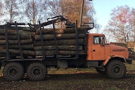 На Харківщині чиновників підозрюють в незаконній вирубці понад 18 тисяч дерев (фото)