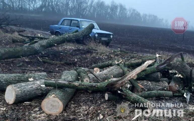 “Чорні лісоруби” Черкащини: поліція виявила злочинну групу, яка незаконно вирубувала деревину (фото)