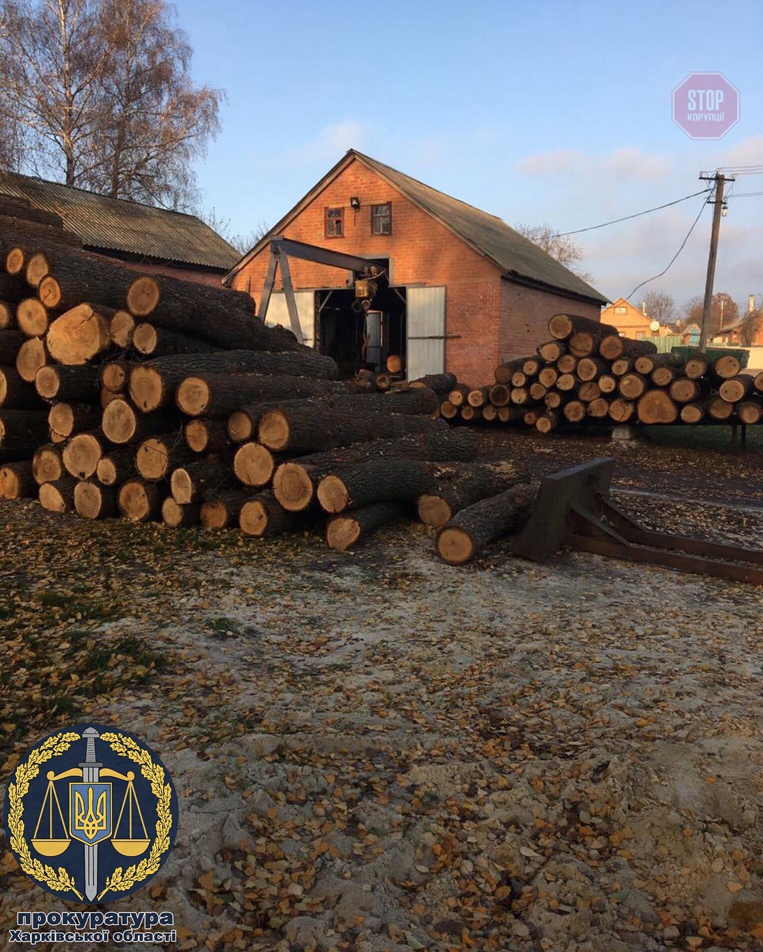На Харківщині чиновників підозрюють в незаконній вирубці понад 18 тисяч дерев (фото)