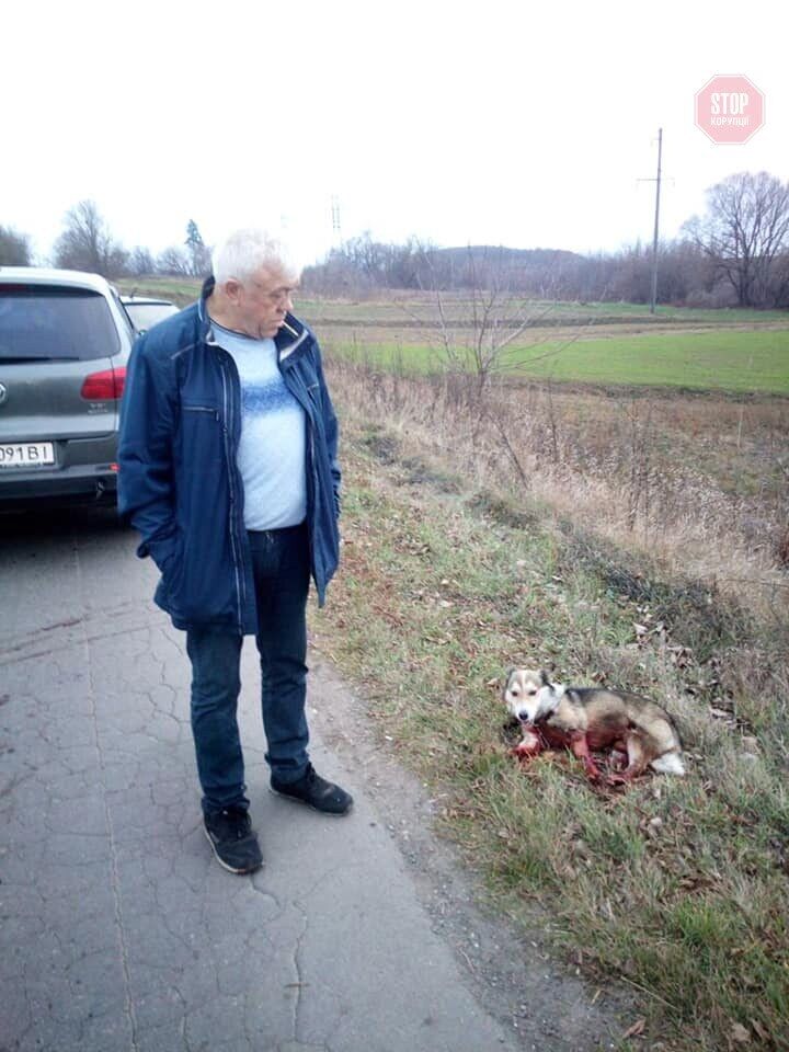 Прив'язав собаку до авто та тягнув дорогою: на Хмельниччині посадовець вирішив покарати тварину (фото, відео 18+)