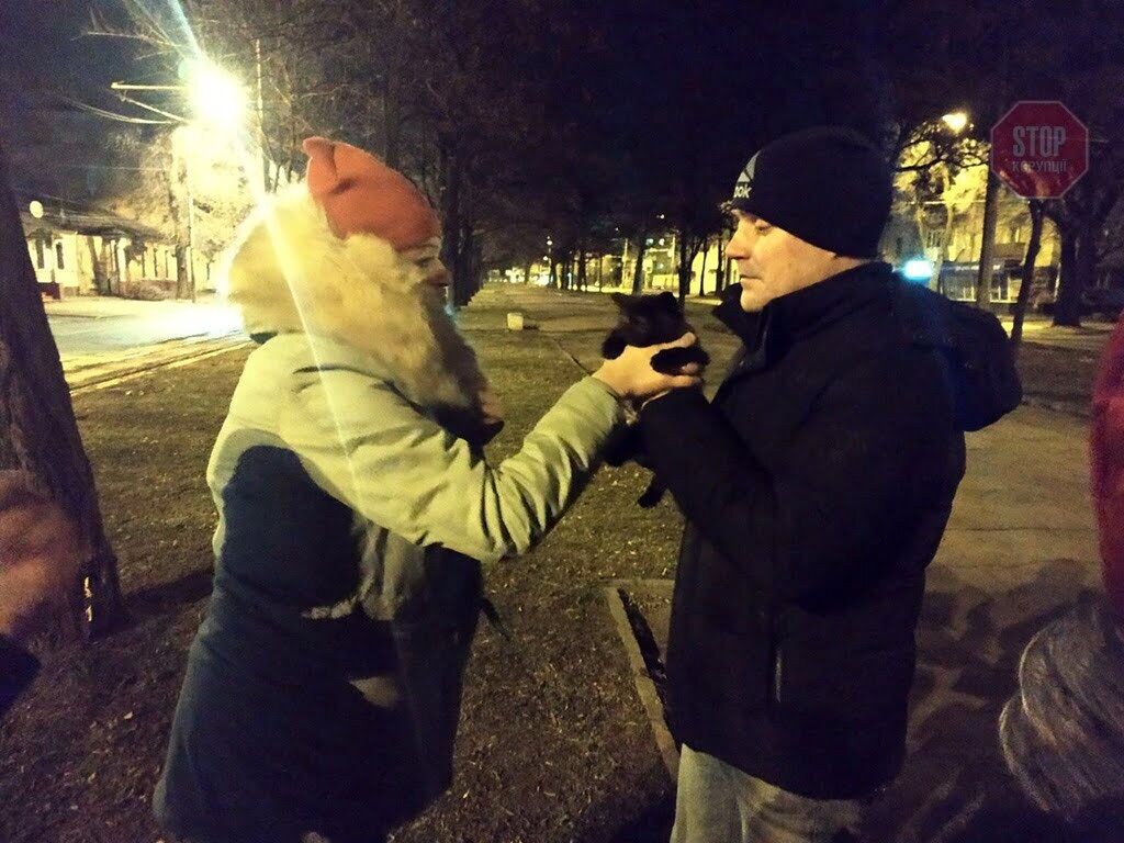 У Дніпрі 5 рятувальників знімали кота з дерева (фото)