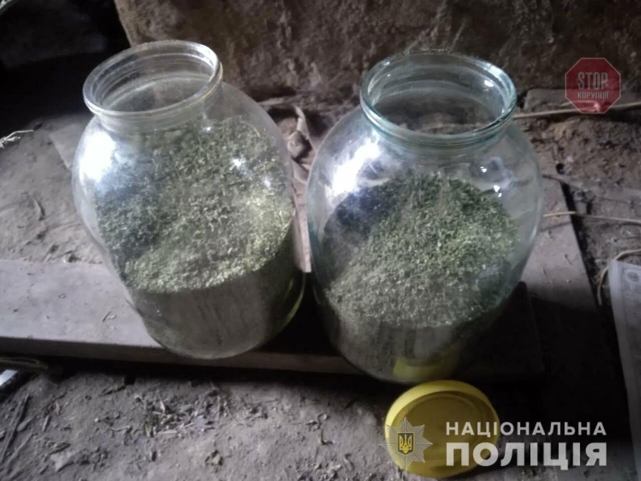 На Дніпропетровщині поліція вилучила у чоловіка 8 кг конопель (фото)