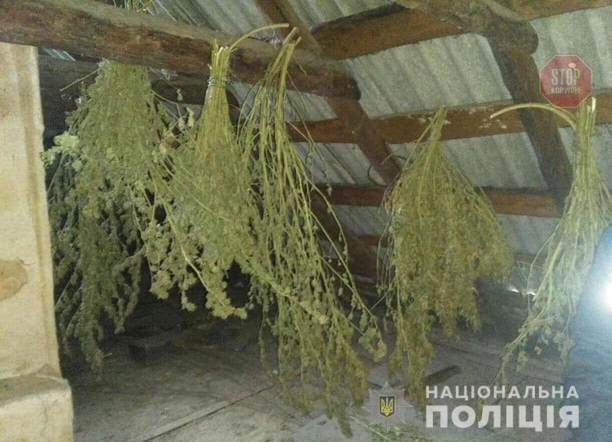 На Дніпропетровщині поліція вилучила у чоловіка 8 кг конопель (фото)