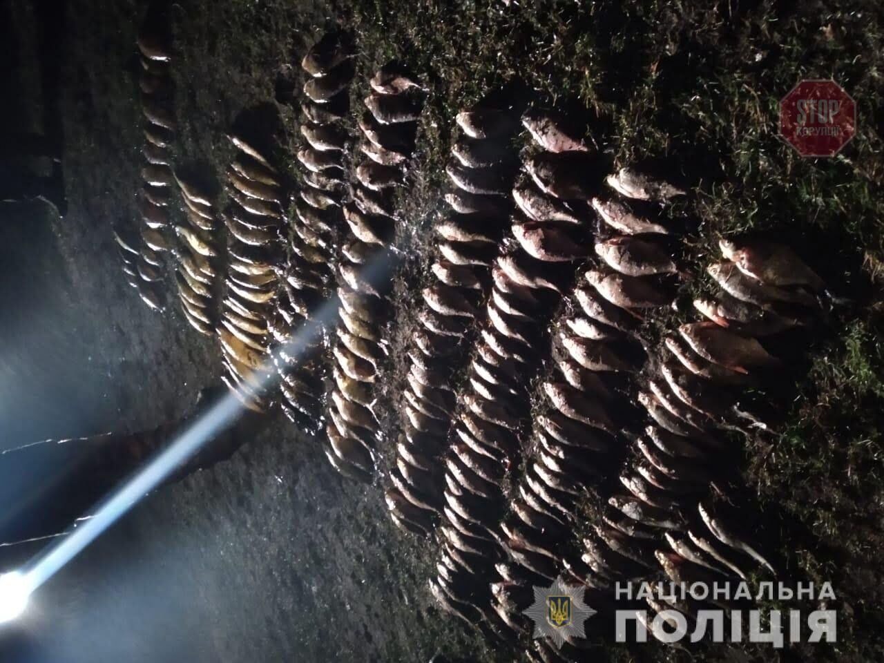 Ловили рибу, не гребуючи радіацією: в Чорнобильській зоні затримали браконьєрів (фото)